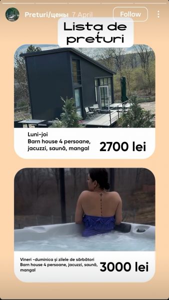 Forrest Ville Micăuți hero image